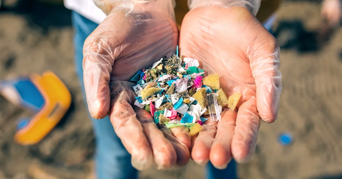 hand with gloves holding crushed plastic found on a beach