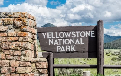 Complete Guide: Easy Hikes In Yellowstone