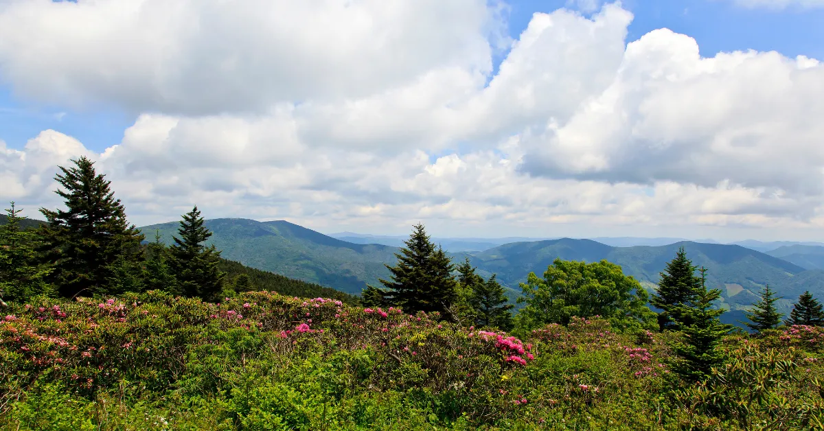 tennesse elopement in the appalachian mountains