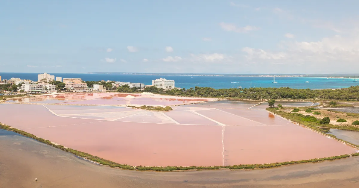 pink colored Salt Flats in Colonia de Sant Jordi