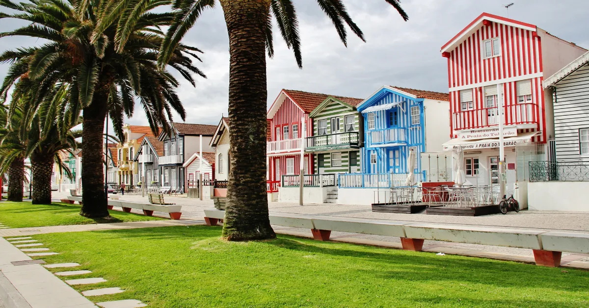 aveiro colorful houses and palm trees