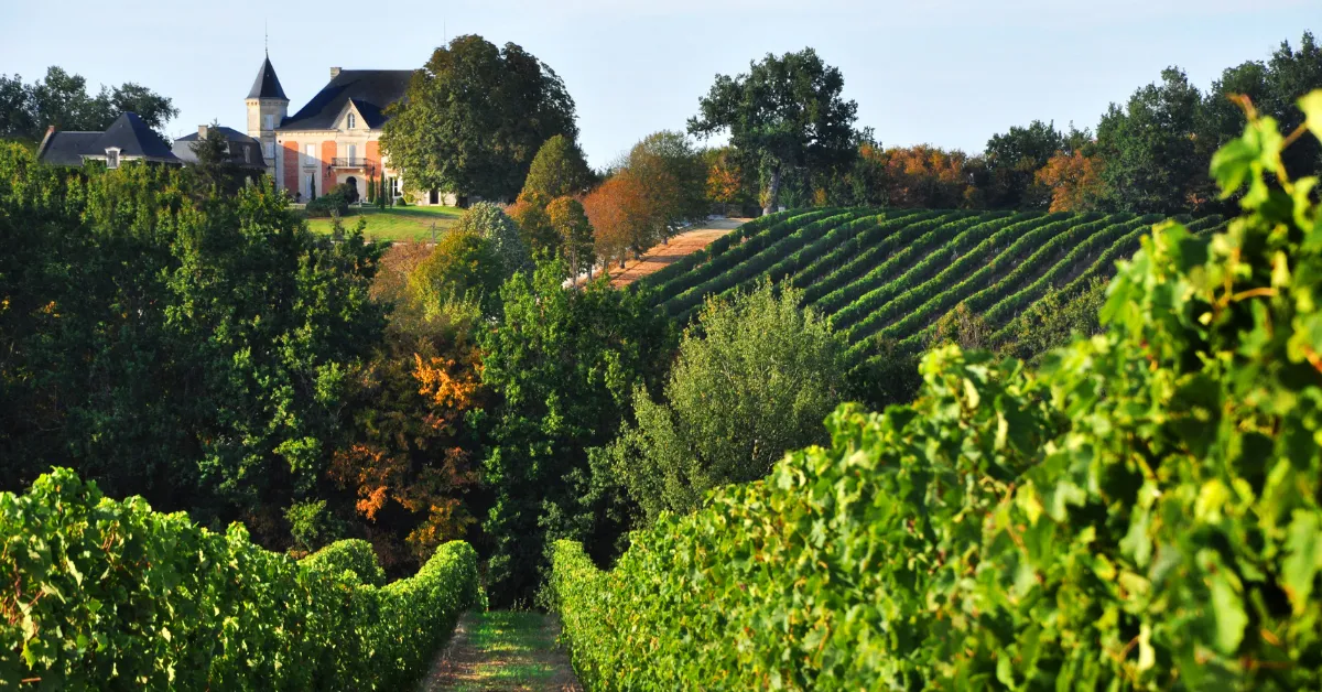 bordeaux winery