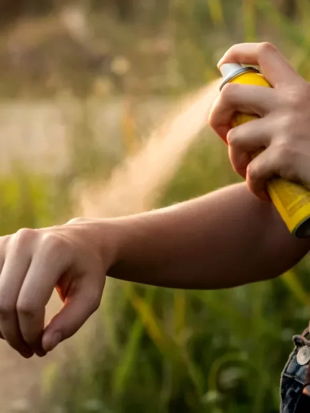 Best Way To Keep Mosquitoes Away While Camping