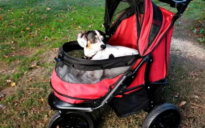 Complete Guide: The Best Off-Road Dog Strollers
