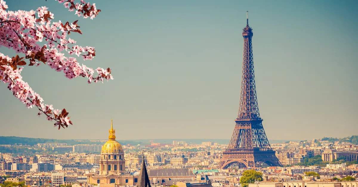 eiffel tower with cherry blossoms in corner