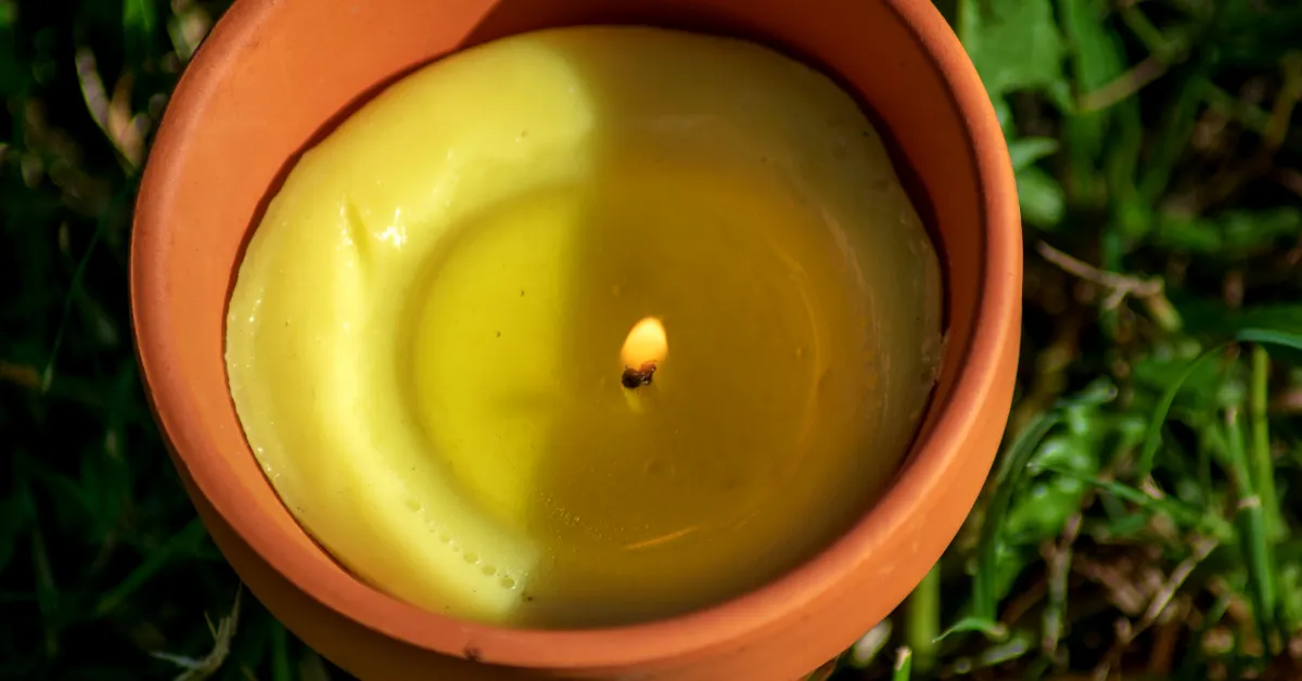 mosquito candle sitting in the grass