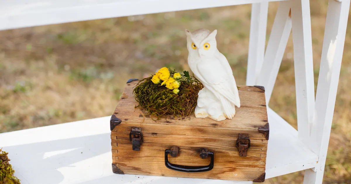 owl and birds nest sitting on wooden suitcase