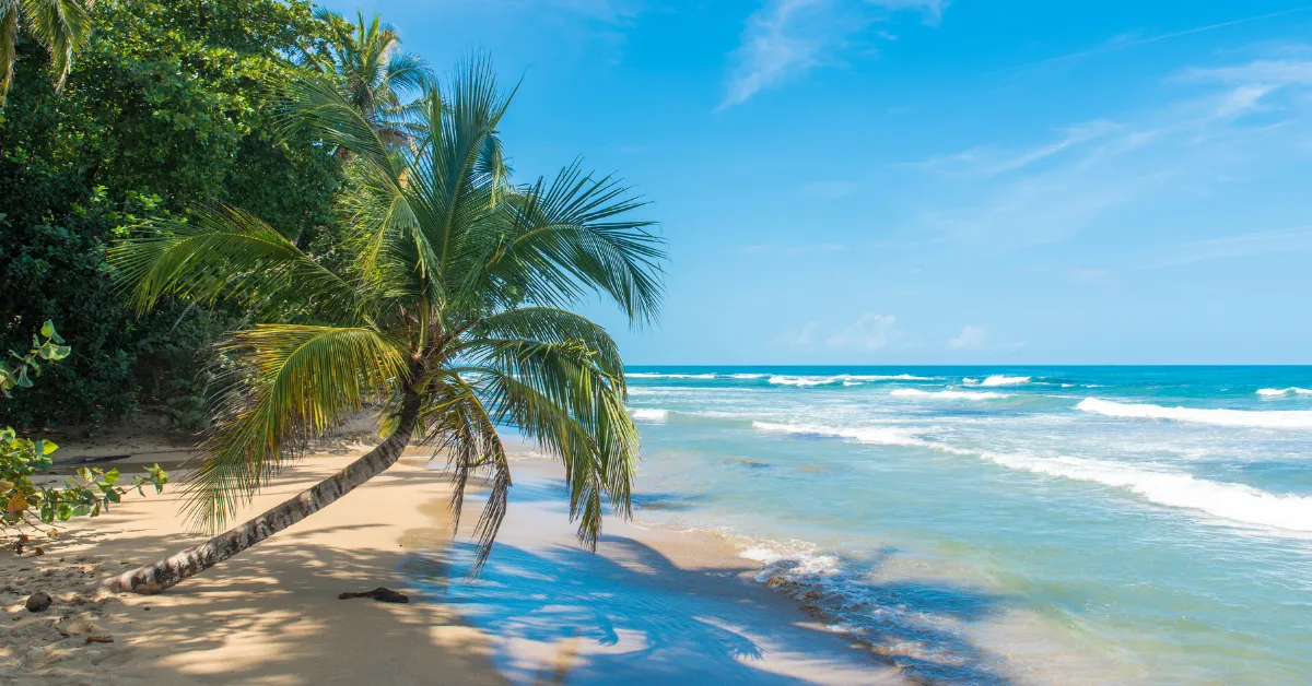 puerto viejo beach in costa rica