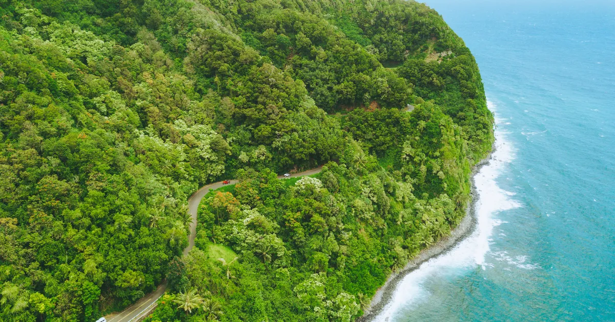 aerial view of road to hana