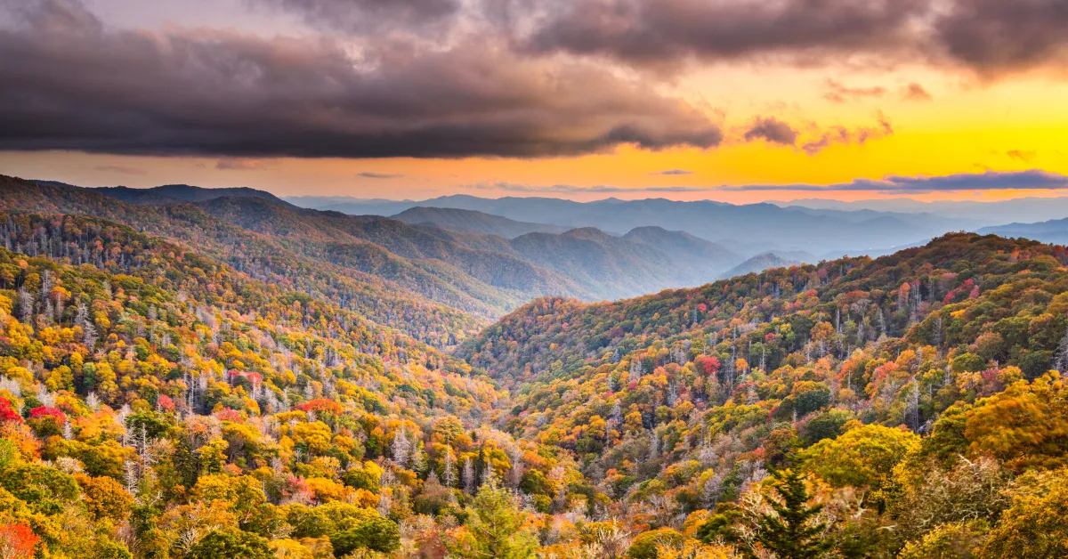 tennessee elopement in the smokey mountains during fall