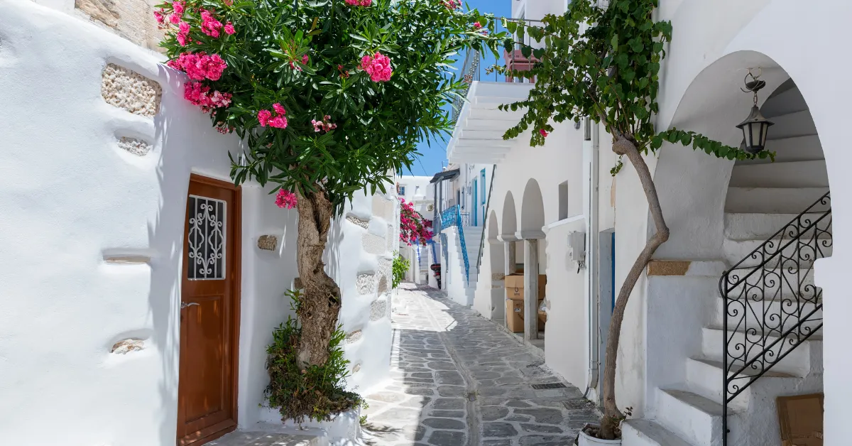 streets of santorini with blooming flowers and plants