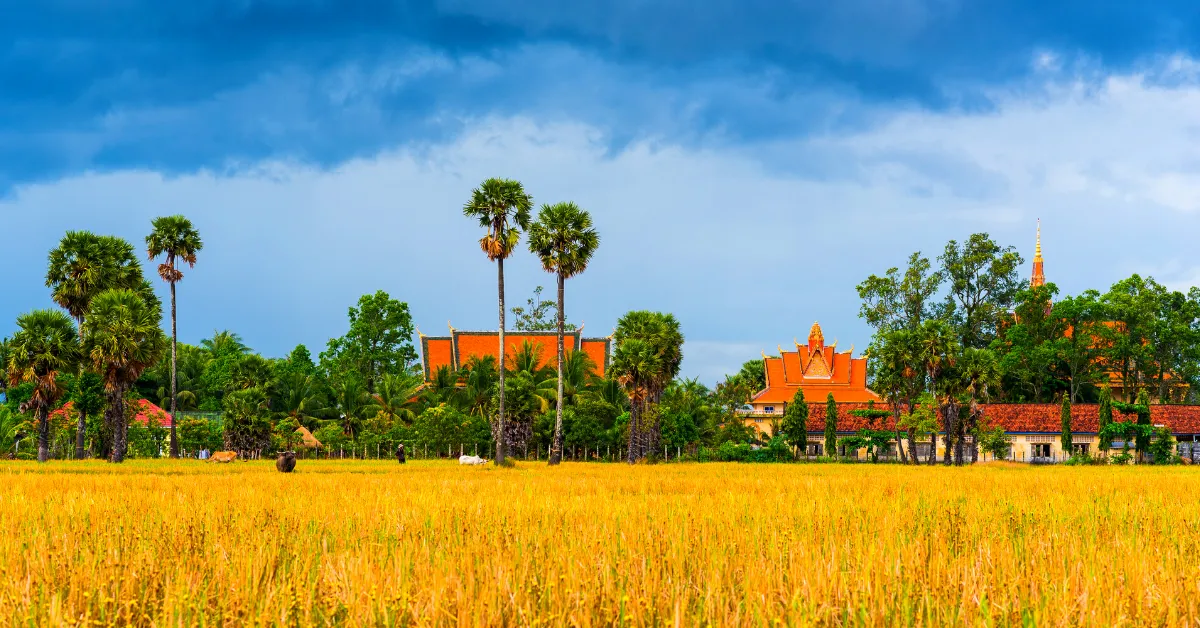 Cambodia countryside