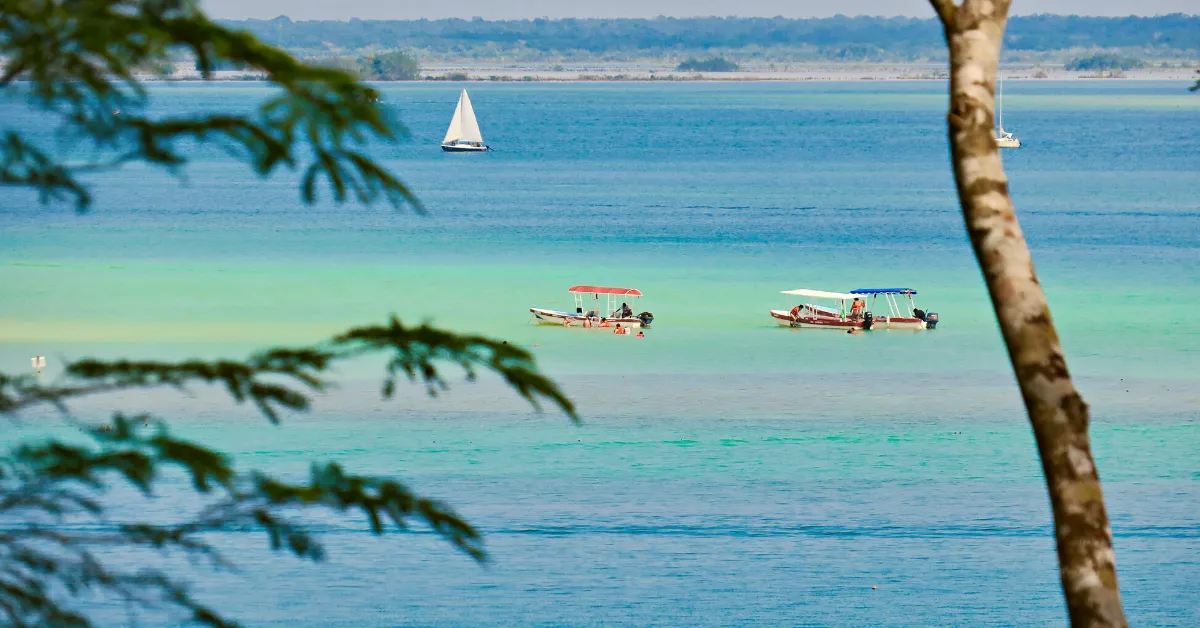 boats on the Seven colored lakes Mexico with trees in the foreground