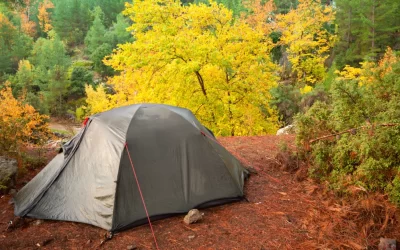 Buying Guide: Best Blackout Camping Tents
