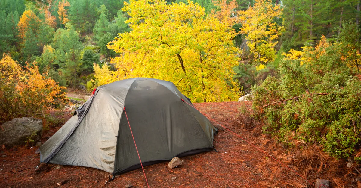 blackout tent