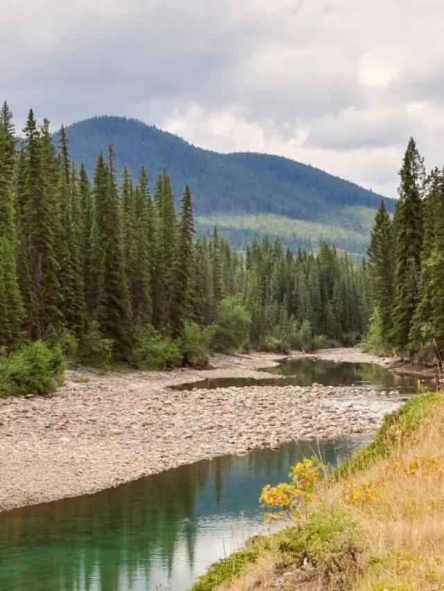 Short And Easy Hikes In Kananaskis, Canada