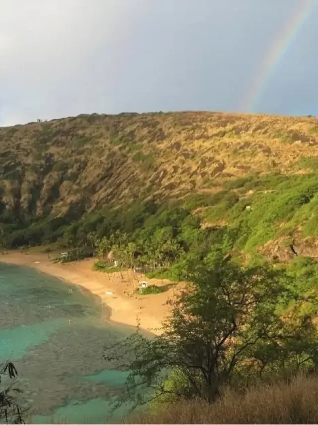 6 Beautiful and Easy Hikes in Oahu