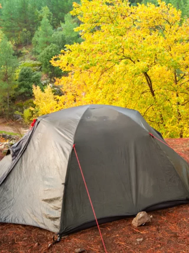 Buying Guide: Best Blackout Tents