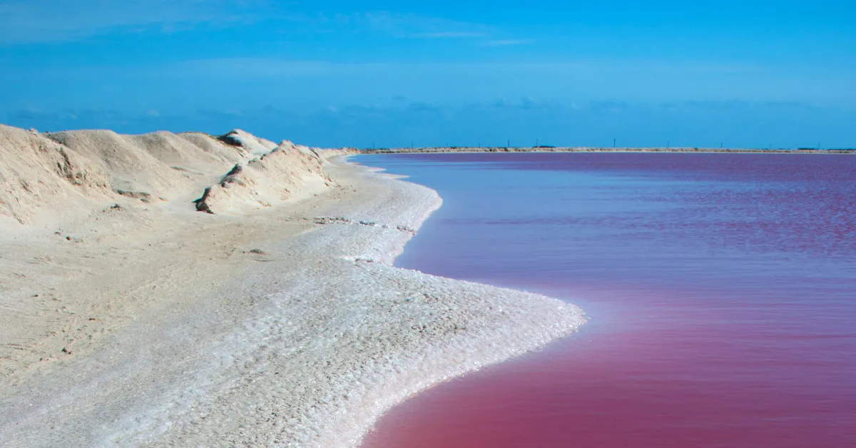 pink lake of las colorados