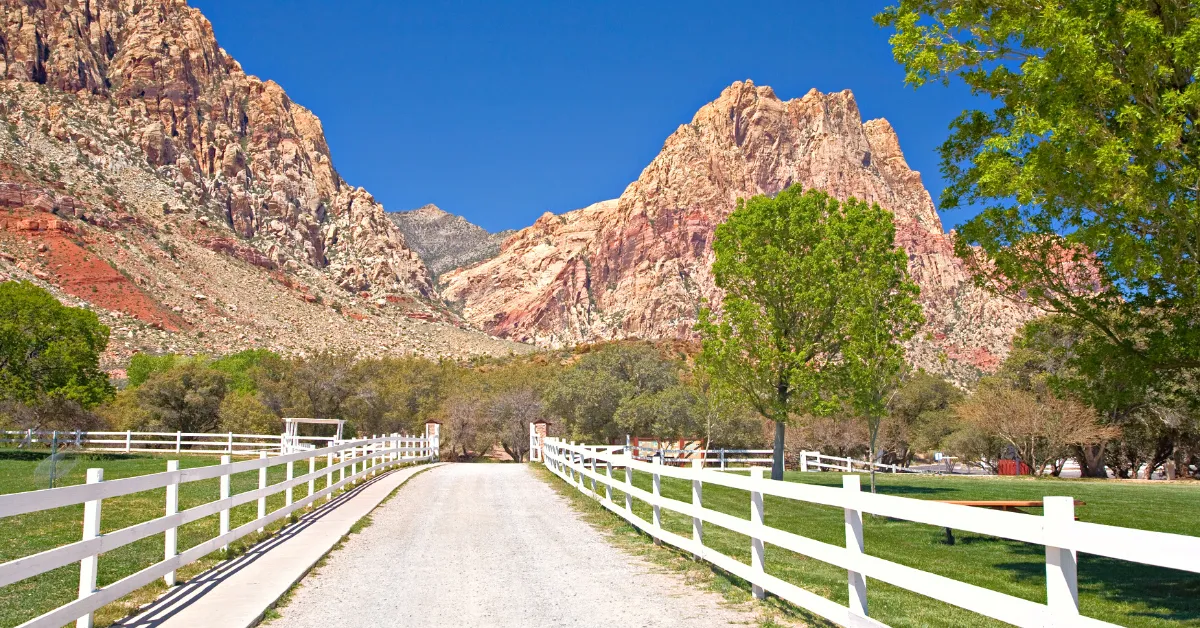 spring mountain ranch state park