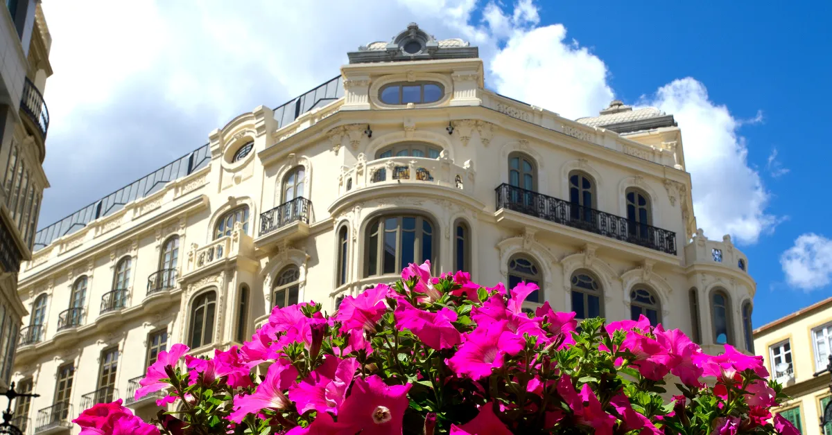 pink flowers in front of malaga building