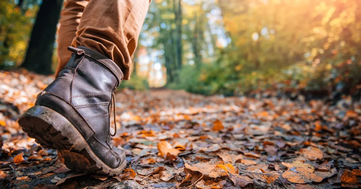 Man on a hike in fall