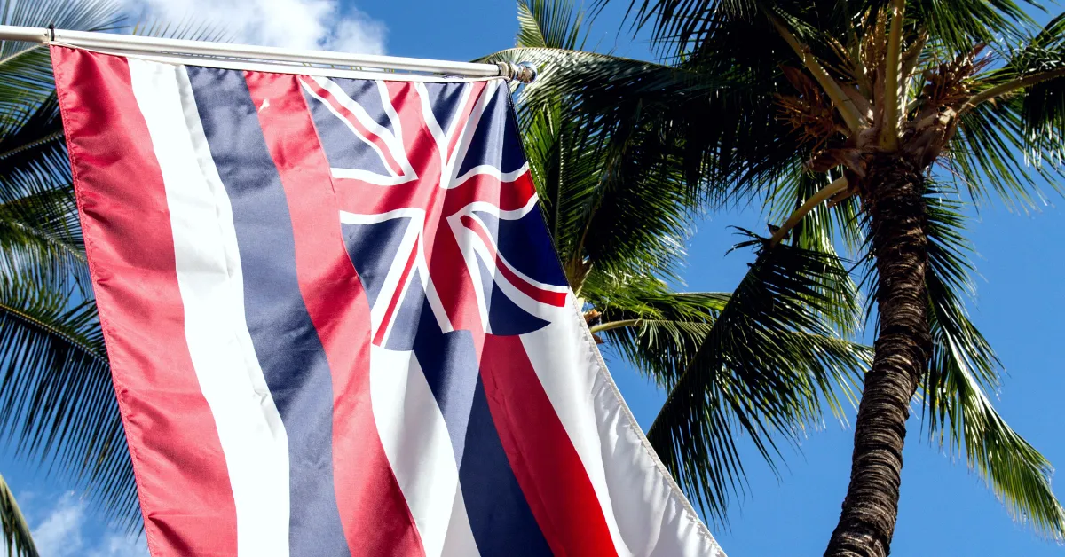 hawaii flag