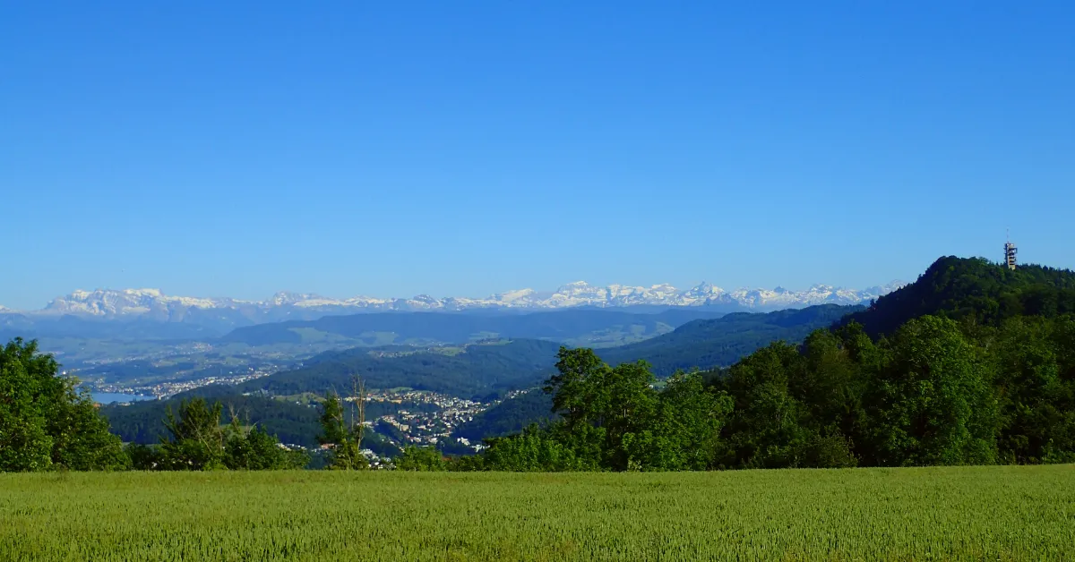 meadows at felseneggm with swiss alps in back