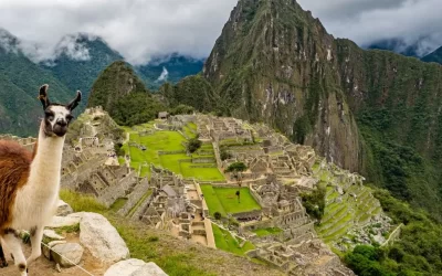 Peru SIM Cards: Everything You Need To Know