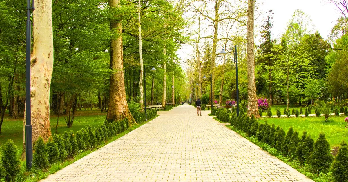 zugdidi botanic garden