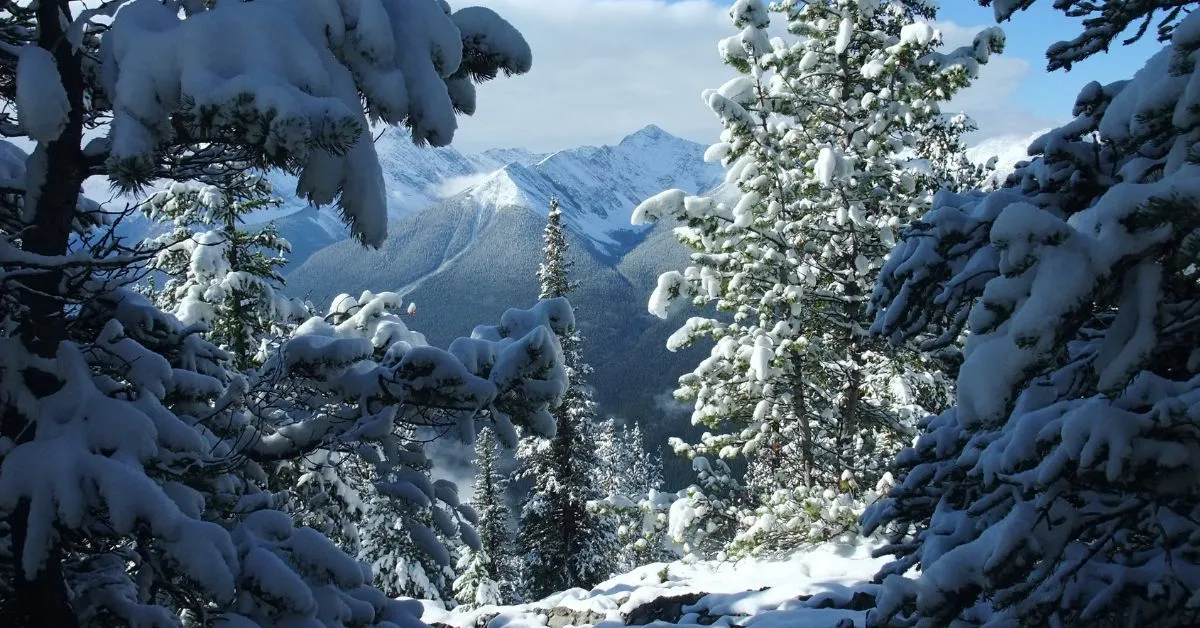 Canadian winter