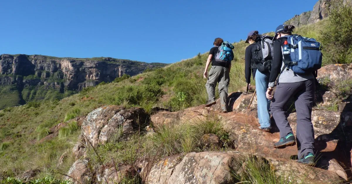 Group hiking in the mountains