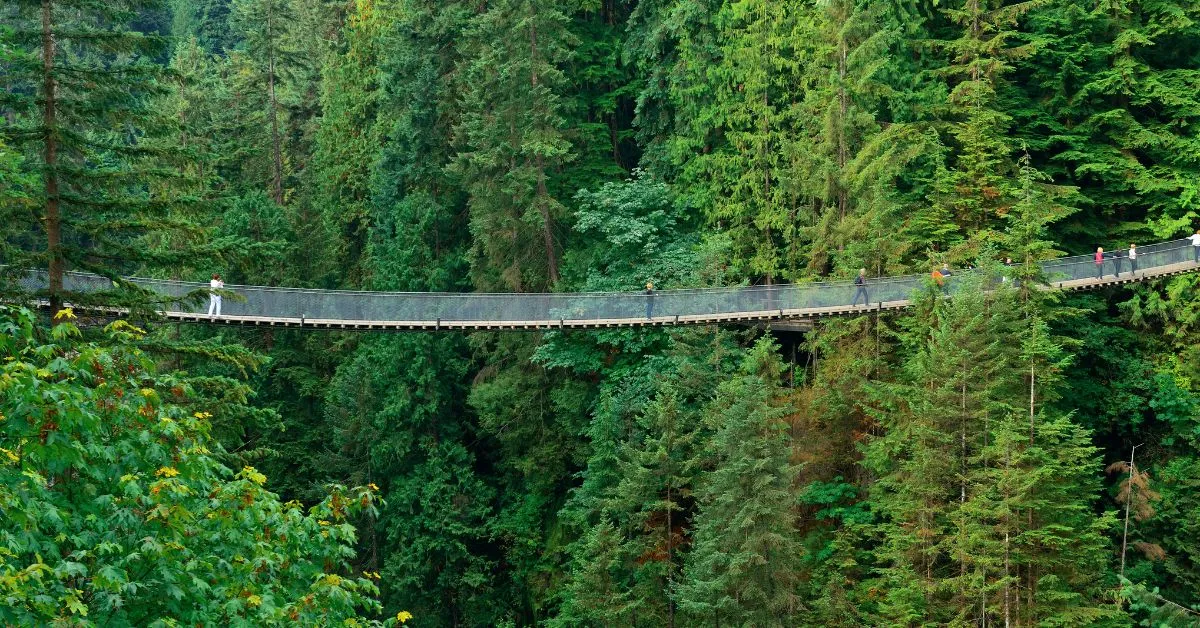 Capilano Suspension Bridge, Vancouver, Canada