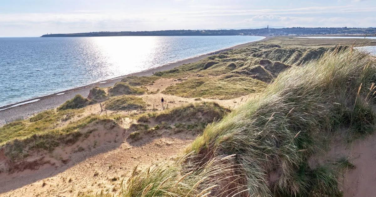 Dunes in Tramore, Waterford, Ireland