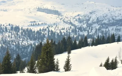 Is Flaine The Top Skiing Destination?