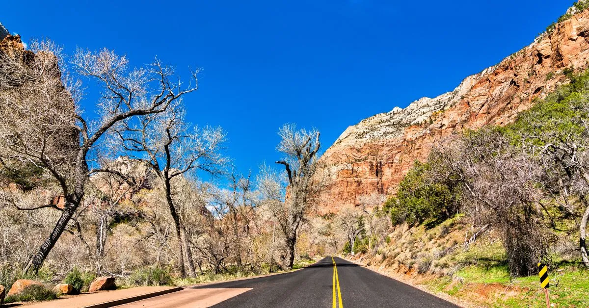 Scenic drive, Zion National Park, USA