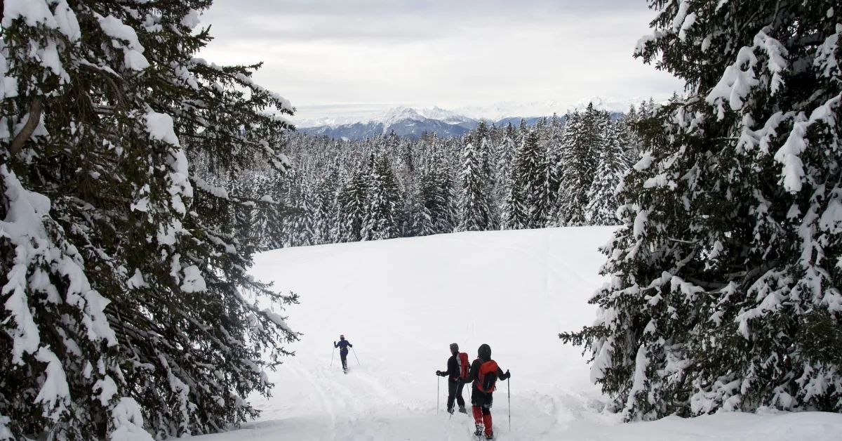 Snowshoeing, Canada