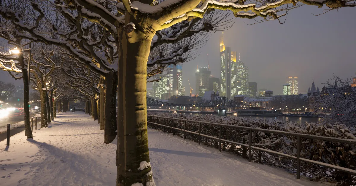 frankfurt skyline in winter