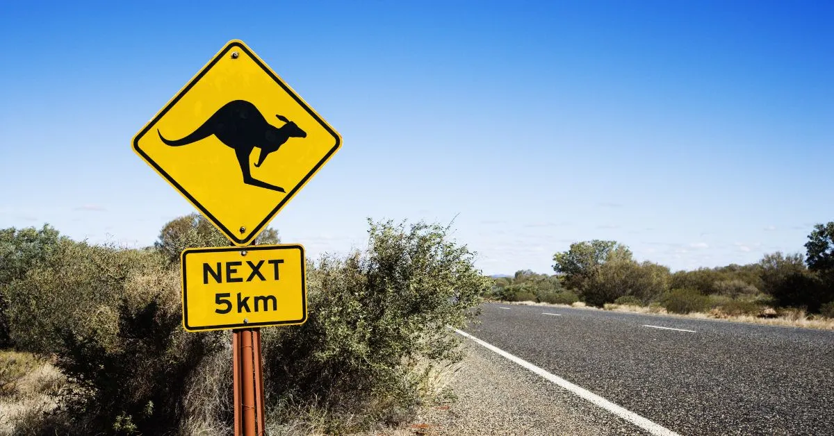 Australia road kangaroo sign