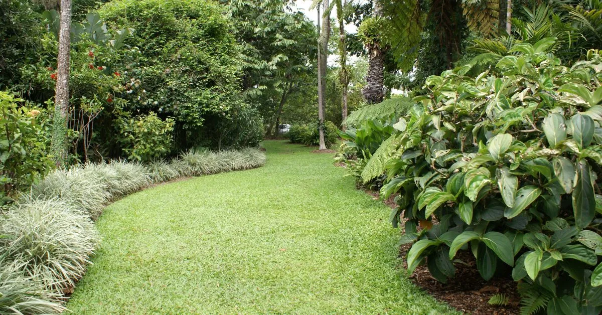 Cairns Botanic Gardens, Cairns, Australia