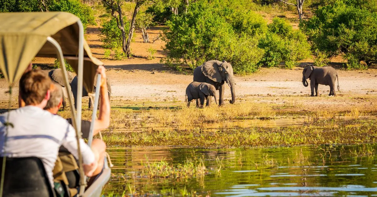 Tourist on safari in Africa
