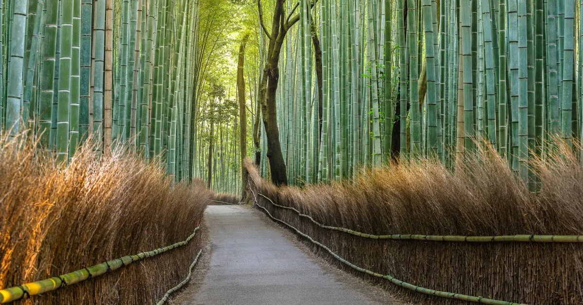 Arashiyama, Kyoto, Japan