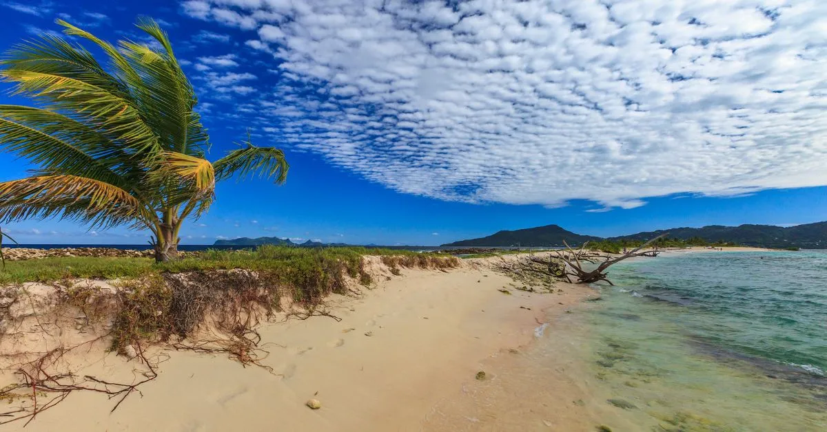 Sandy Island, Grenada, Caribbean