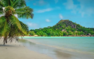 Seychelles SIM Cards: Everything You Need To Know