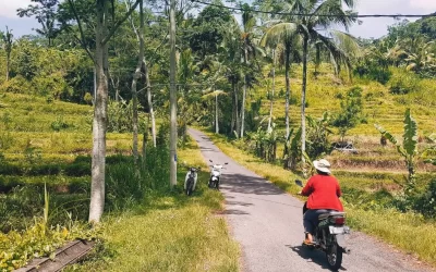 Bali Plans To Ban Tourists From Riding Motorcycles