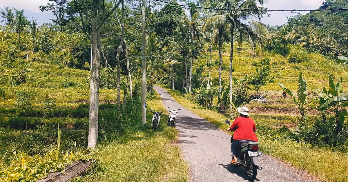 Larangan sepeda motor Bali