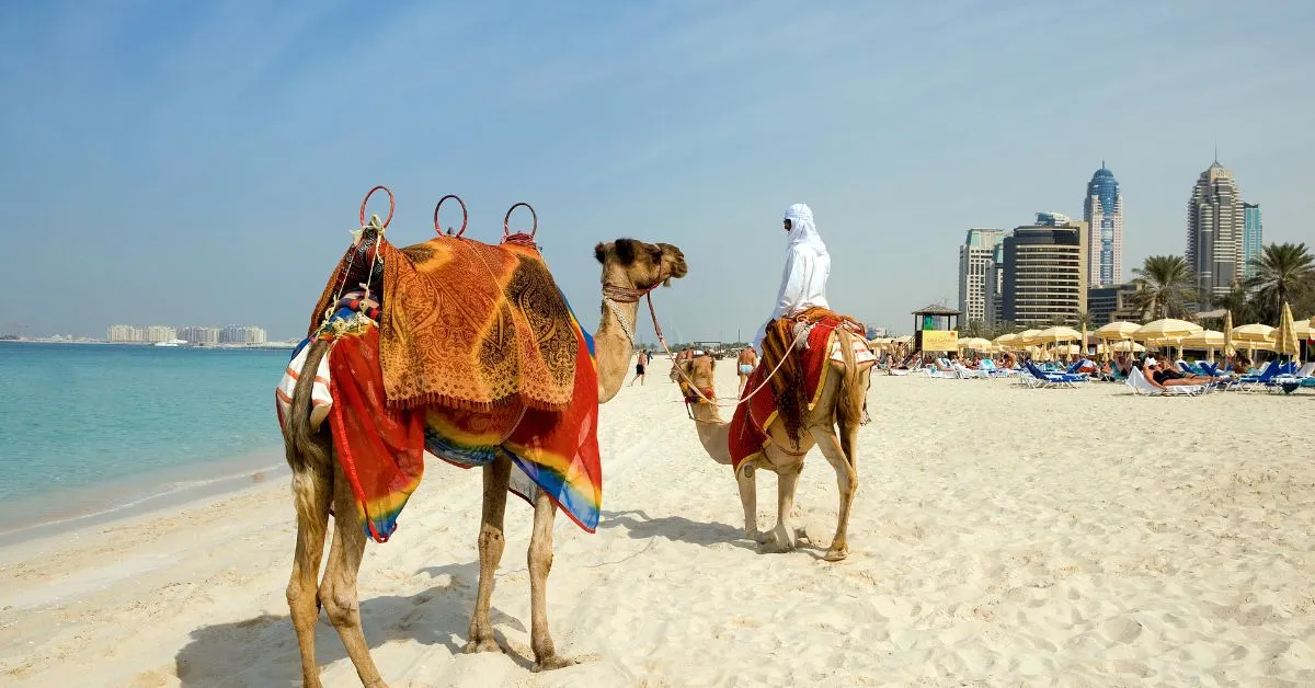 Beach on Dubai, United Arab Emirates