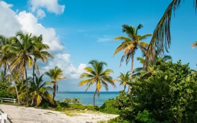 Cayman Islands SIM Cards: Everything You Need To Know