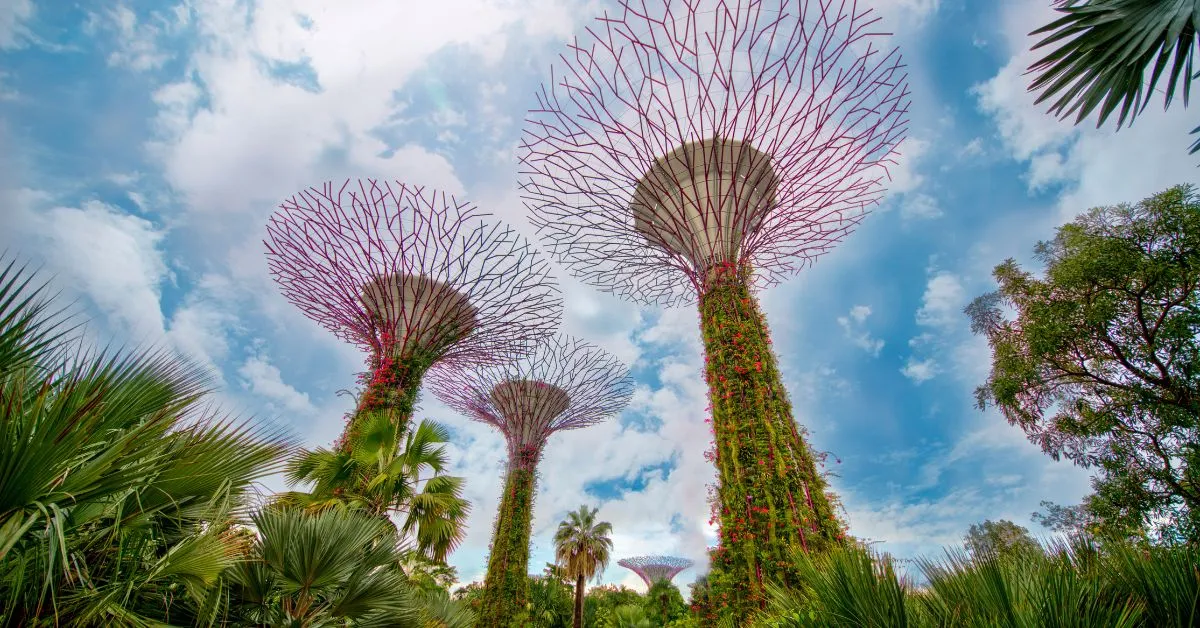 Gardens By The Bay Singapore