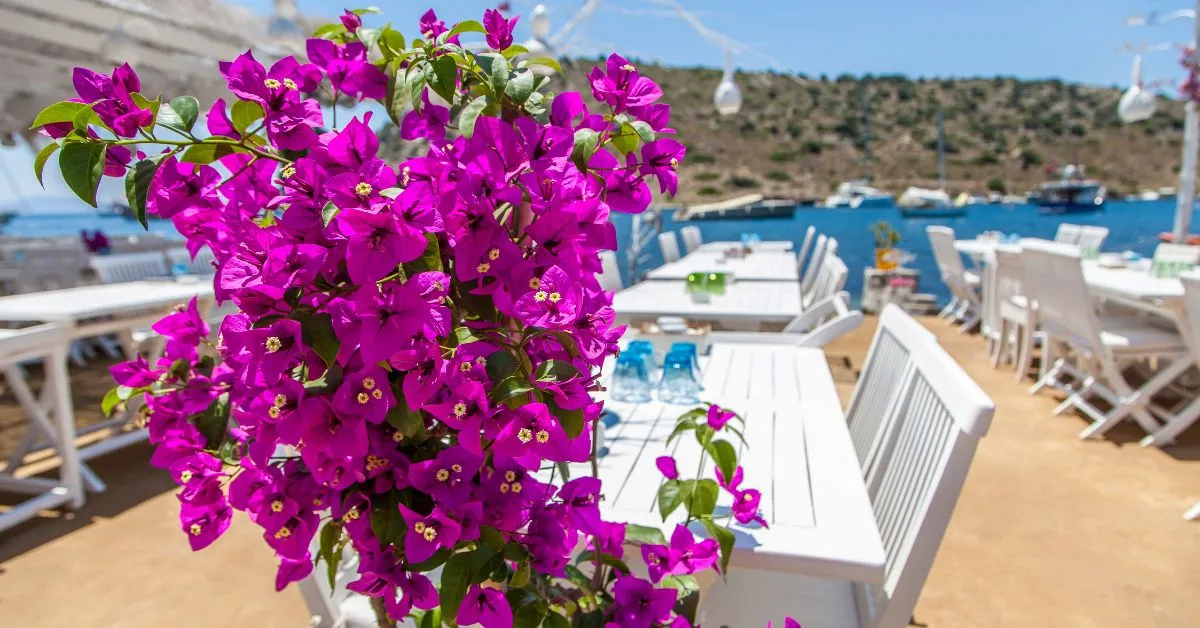 Scenery of Bodrum, Turkey